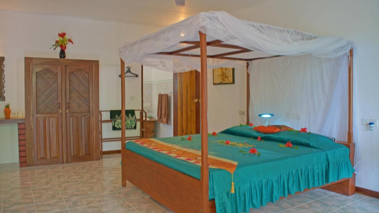 Ayurveda Centrum Lawrence Hill Paradise Хикадува Екстериор снимка