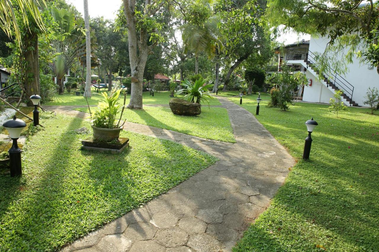 Ayurveda Centrum Lawrence Hill Paradise Хикадува Екстериор снимка