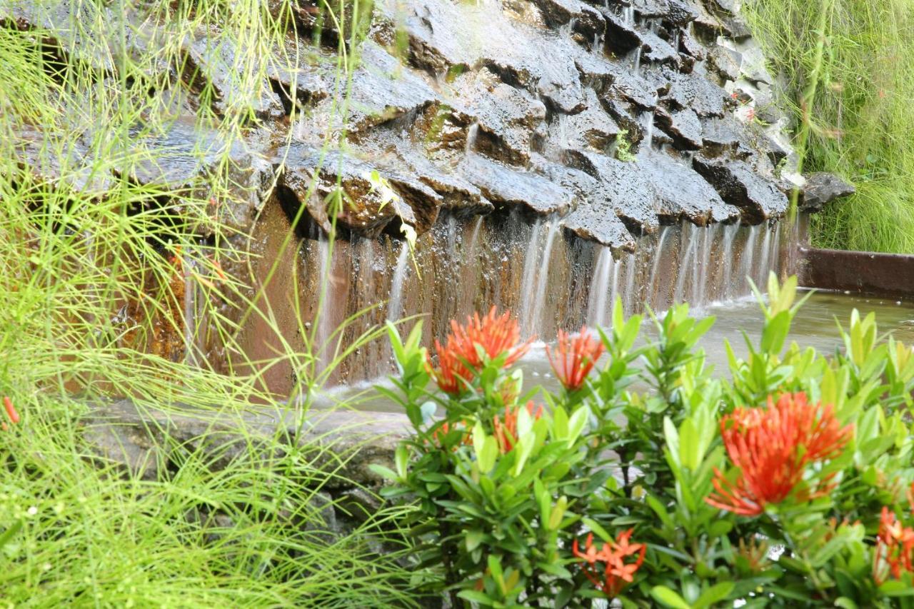 Ayurveda Centrum Lawrence Hill Paradise Хикадува Екстериор снимка