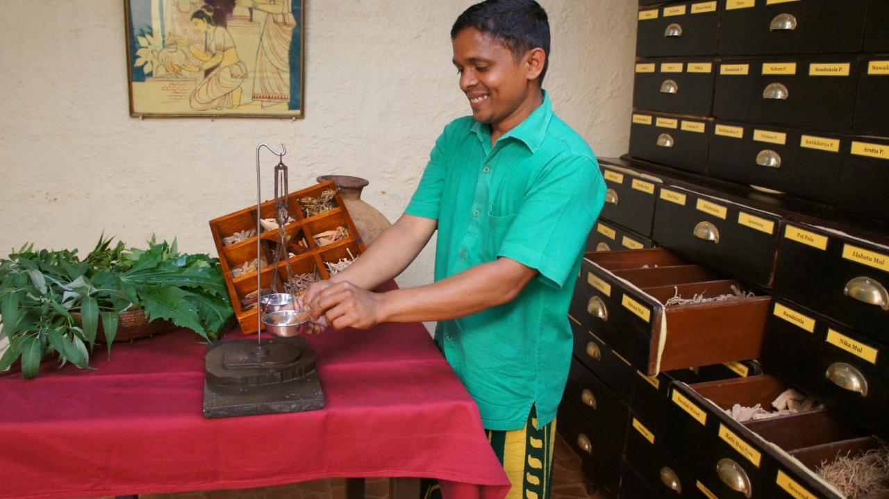 Ayurveda Centrum Lawrence Hill Paradise Хикадува Екстериор снимка