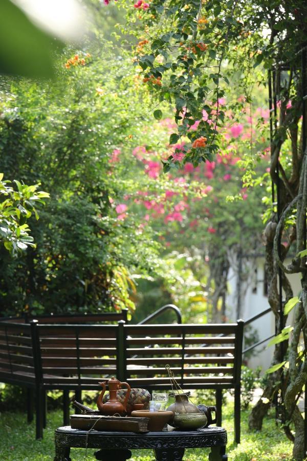 Ayurveda Centrum Lawrence Hill Paradise Хикадува Екстериор снимка